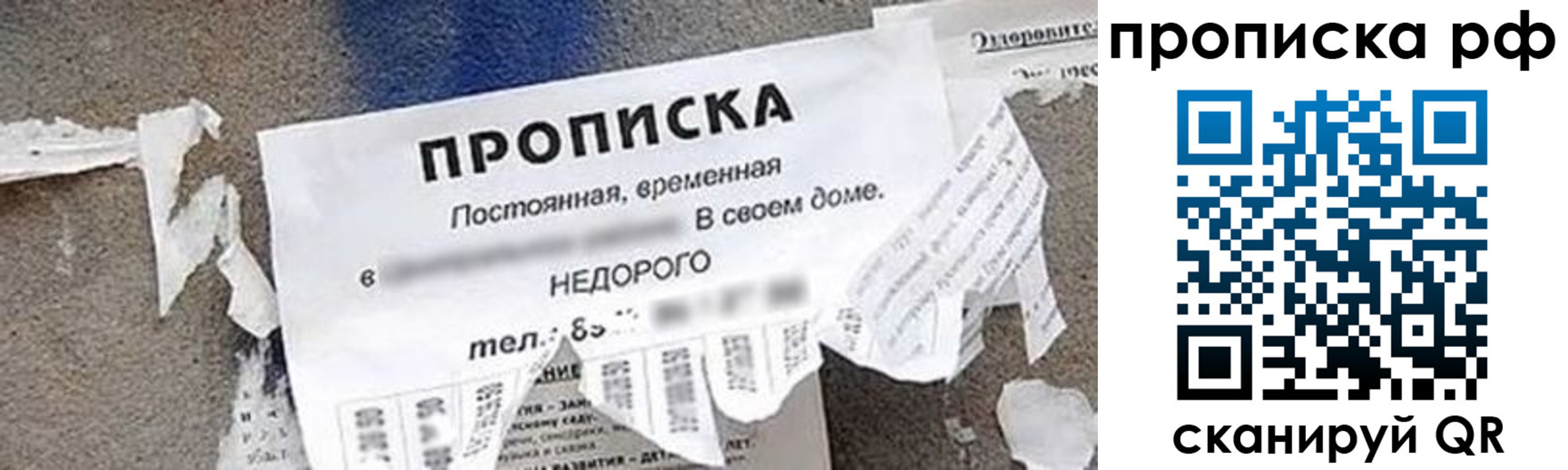 где прописаться в Новозыбкове